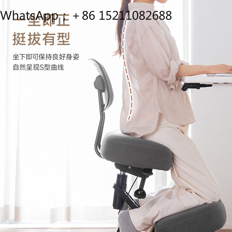 LLY 사무용 의자, 인체공학적 디자인, 무릎을 꿇고  - Office Chair 리뷰 및 가격