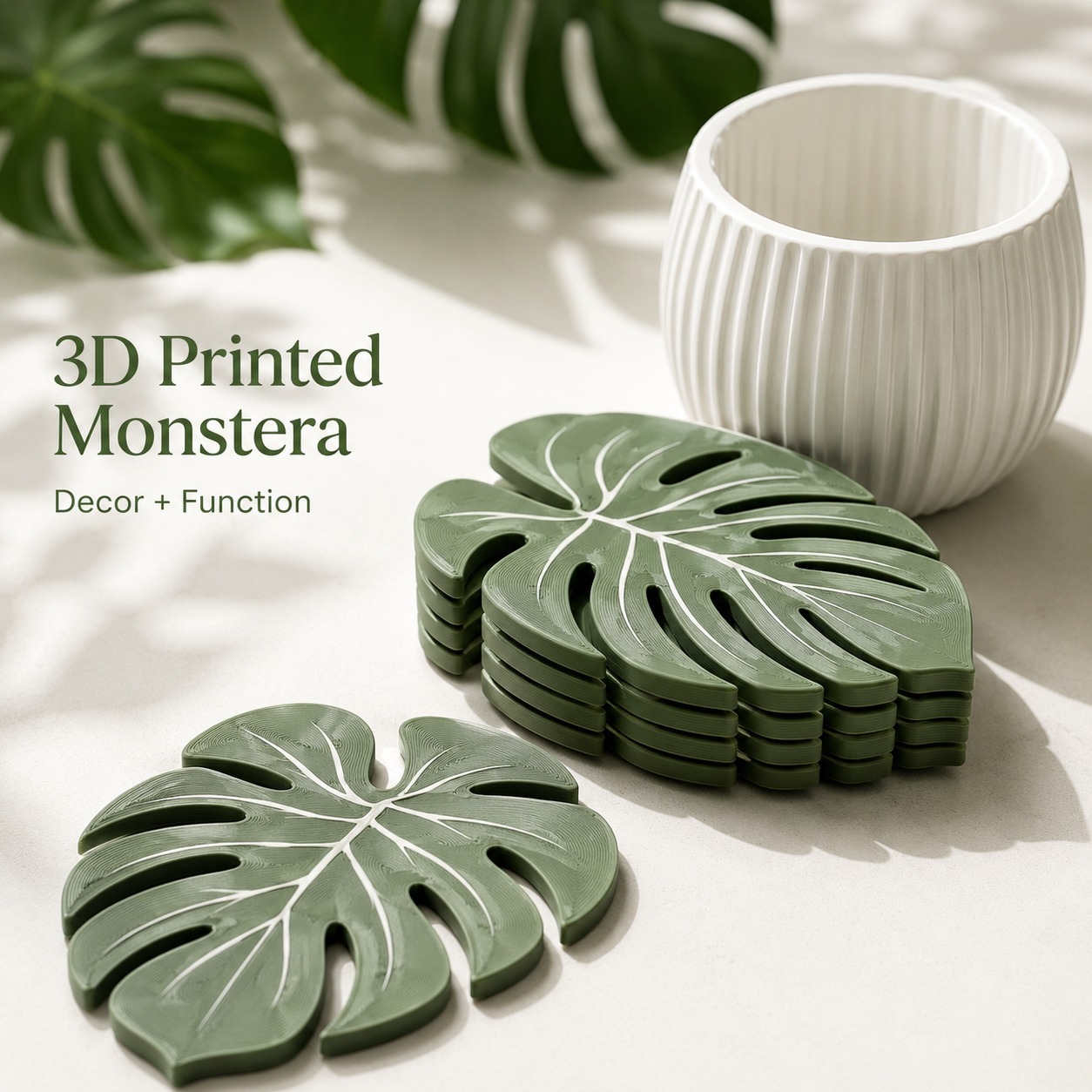 몬스테라 식물 코스터 3D 프린팅 잎사귀 코스터 세트  - Office Furniture Brands 리뷰 및 가격